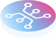 Corporate Information Systems
